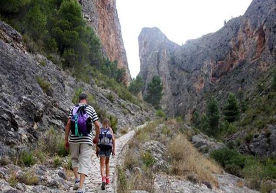 La ruta de senderismo en la que podrás ver buitres leonados en Alicante